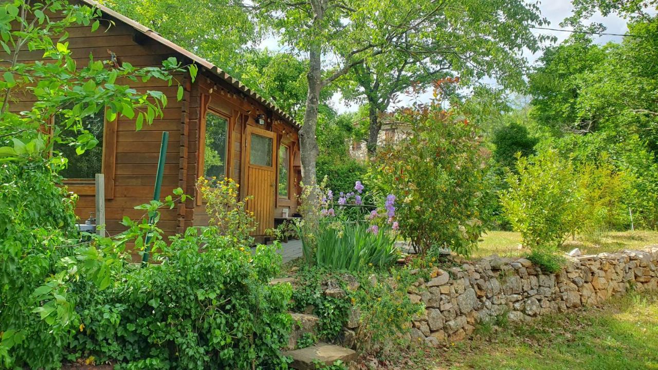 Villa Eden Vert Fayence Ngoại thất bức ảnh